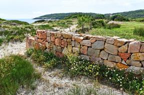 Coastal Landscape with the stone wall among the colorful nature