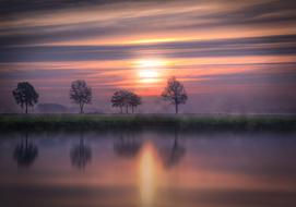 trees are reflected in calm water in the twilight