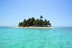 green palm island in the ocean