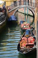 magnificent Venice Boats