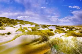 Beautiful landscape with the colorful dunes with plants, near the North Sea in Denmark