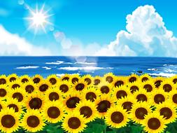 sunflower and sea drawing