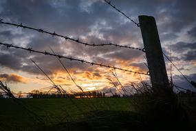 barbed wire fence in the pasture against a blue sky