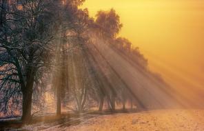 magnificent Nature Dawn