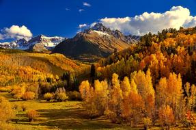 Beautiful landscape of the colorful forest on the mountains in autumn, in Colorado, USA