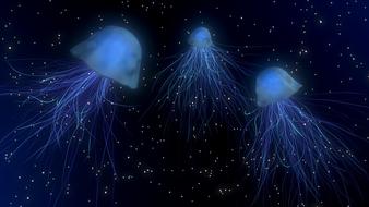 jellyfish deep sea shining drawing