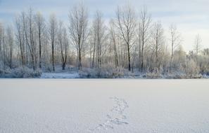 lake in winter in Siberia, Russia