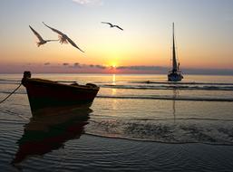 incredible ea Boats Dawn