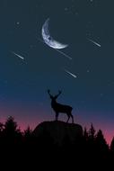 Moon on Sky and deer