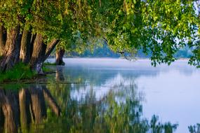 Beautiful water, with the reflections of the green trees, under the blue sky