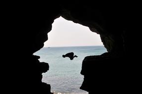 man jumping off a cliff in morocco