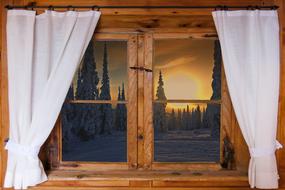 winter forest behind a wooden window