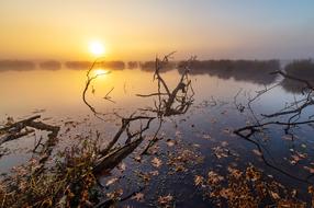 landscape of Lake Water at Sunrise