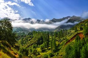 magnificent Fog sky