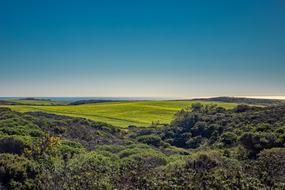 Meadow Coastline
