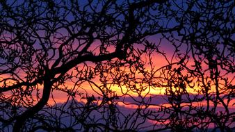 Spring Evening Sky