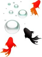goldfish black fish drawing