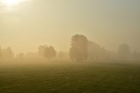 magnificent Morning Mist Nature