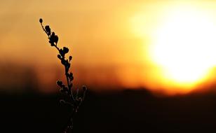 Sunset Evening on Sky