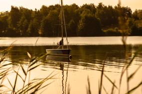 magnificent Lake Morning
