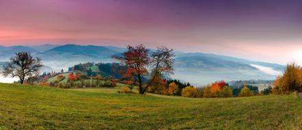 romantic panorama of autumn trees against the background of mountains