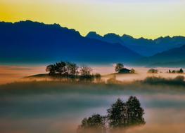 wonderful Sunrise Fog Silhouettes tree