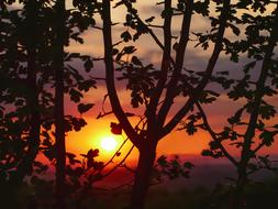absolutely beautiful Sunset