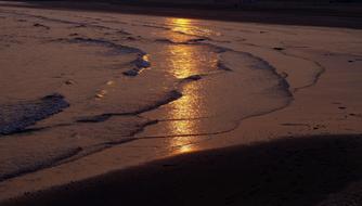 ravishing Beach Wave Water
