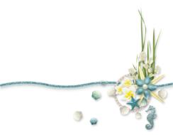 ravishing summer sea coast drawing