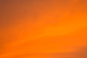 photo of orange wallpaper