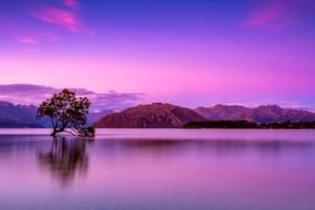 beautiful purple Sky with pink Clouds, new zealand
