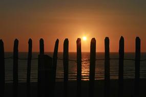 Sea sun Fence Post