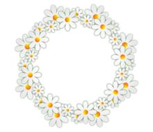 blank round frame with daisy flowers drawing