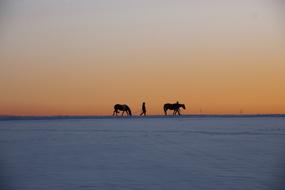 ravishing Winter Snow Nature