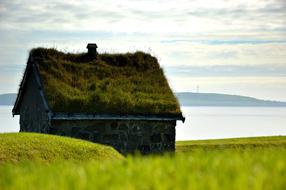 House Turf Roof