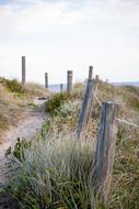 Beach Fence dry grass