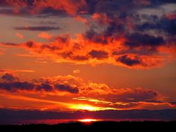 extraordinarily beautiful Summer Clouds