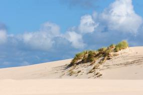 Dunes Sand