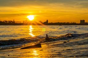 ravishing Hamburg Elbe Sunset