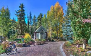 Foliage Vail