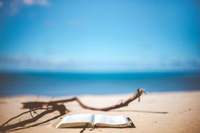 ravishing Water Ocean book