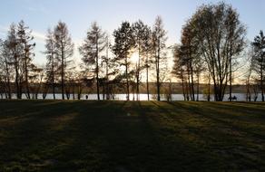 trees by the river at sunset