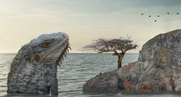 Lizard tree coast drawing