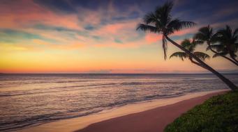 purple sunset over a tropical island