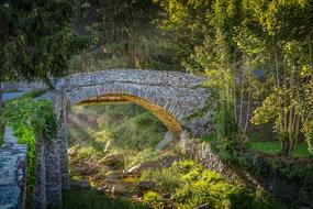 Beautiful bridge among the colorful plants in light