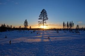 Lapland winter landscape in Sweden