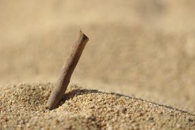 stick in the sand on the beach