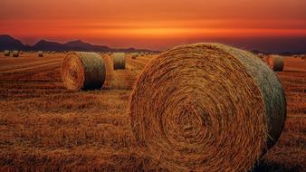 Straw hays on the beautiful field at beautiful and colorful sunset in Austria