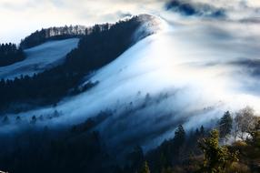 Wave Of Fog
