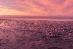 pink Coast Sea